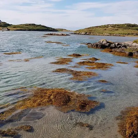 Tidal View *